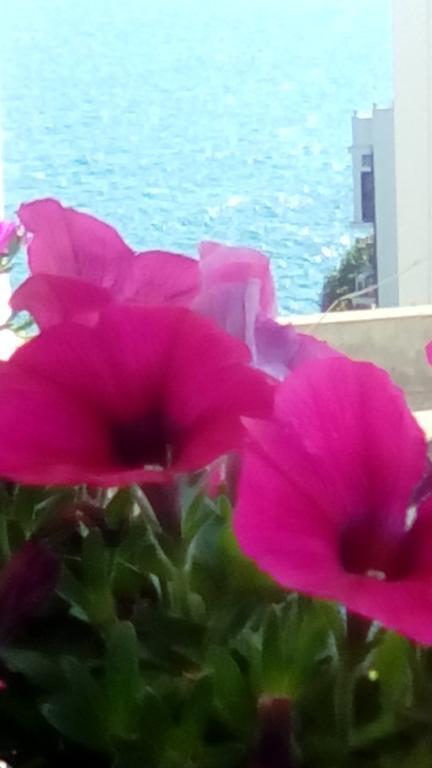 Tra Le Mura Polignano a Mare Bagian luar foto