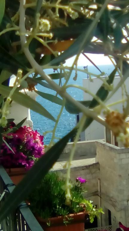 Tra Le Mura Polignano a Mare Bagian luar foto
