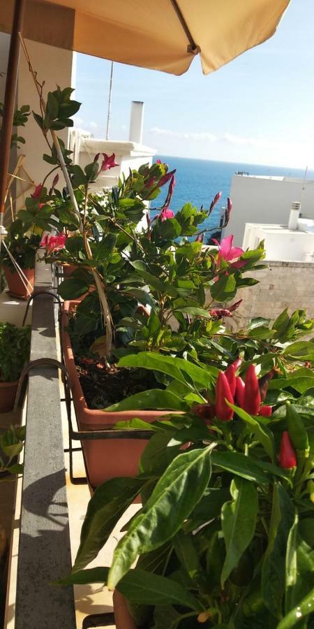 Tra Le Mura Polignano a Mare Bagian luar foto